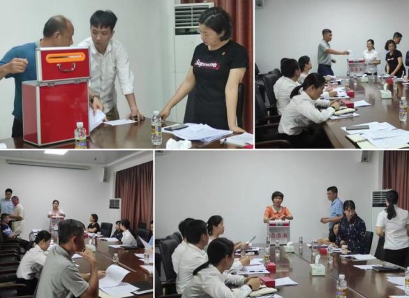 英国上市公司365召开支部党员大会传达学习省第八次党代会精神暨进行支委会换届选举(图6)
