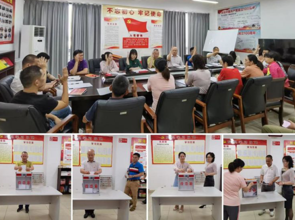 英国上市公司365召开支部党员大会传达学习省第八次党代会精神暨进行支委会换届选举(图7)