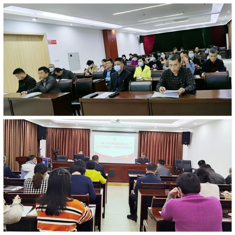 英国上市公司365组织召开学习贯彻党的二十大精神专题宣讲会(图2)