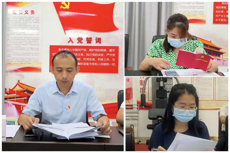 英国上市公司365党支部召开党的二十大精神专题学习会暨增补支委选举大会(图3)