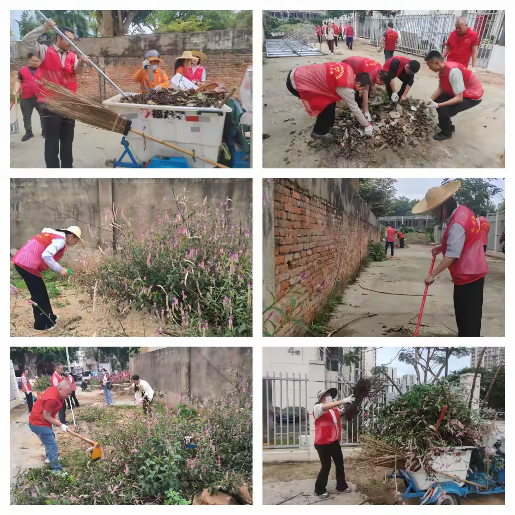 弘扬雷锋志愿风尚 筑牢绿色环保防线——英国上市公司365开展党建共建主题党日活动(图4)