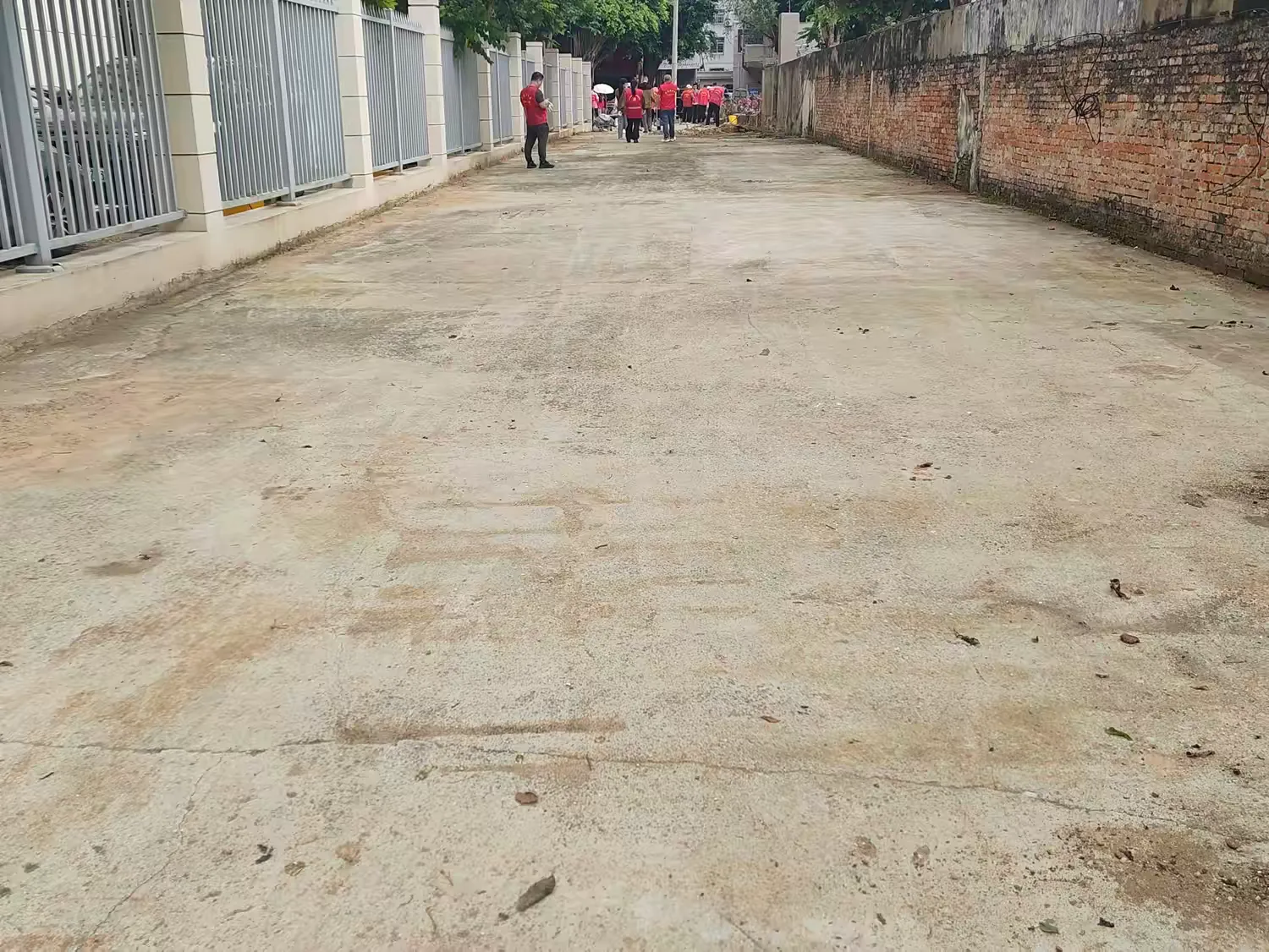 弘扬雷锋志愿风尚 筑牢绿色环保防线——英国上市公司365开展党建共建主题党日活动(图5)